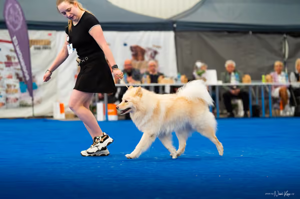 For Pets Cup – DOSPĚLÝ