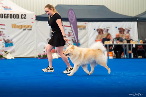For Pets Cup – DOSPĚLÝ