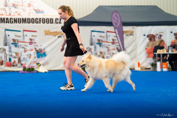 For Pets Cup – DOSPĚLÝ