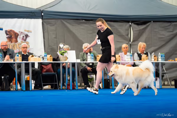 For Pets Cup – DOSPĚLÝ