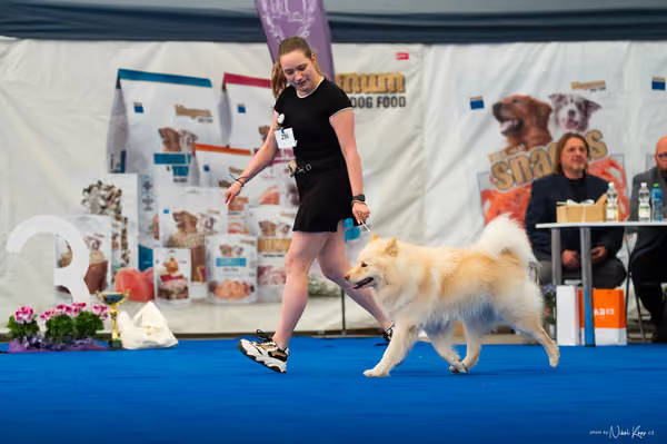 For Pets Cup – DOSPĚLÝ