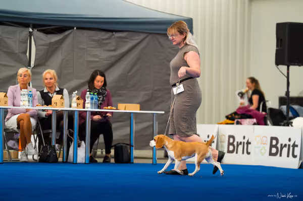 For Pets Cup – DOSPĚLÝ