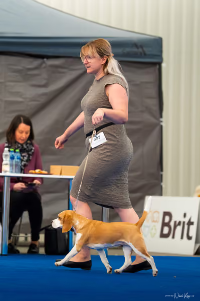 For Pets Cup – DOSPĚLÝ