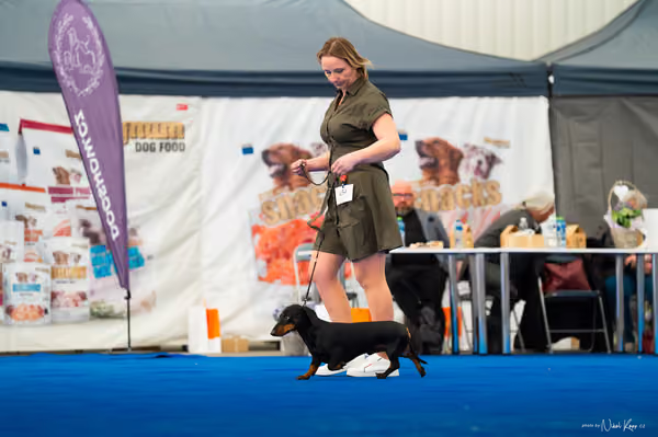 For Pets Cup – DOSPĚLÝ