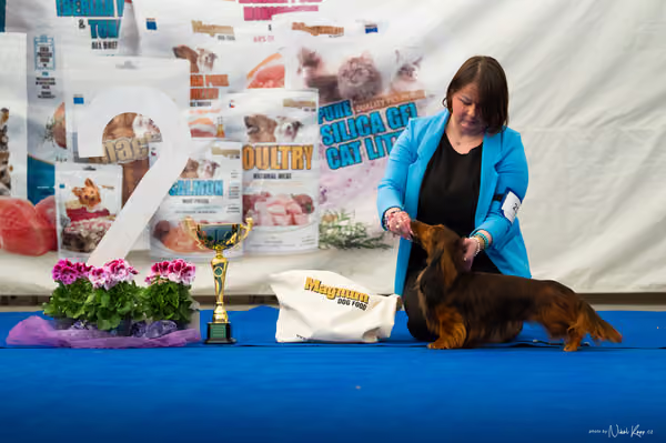 For Pets Cup – DOSPĚLÝ