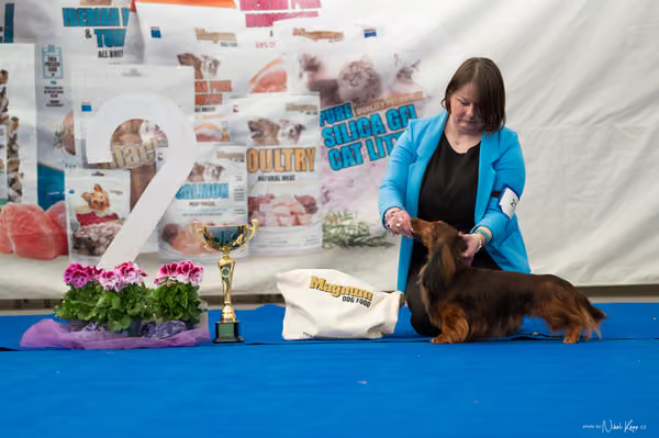For Pets Cup – DOSPĚLÝ