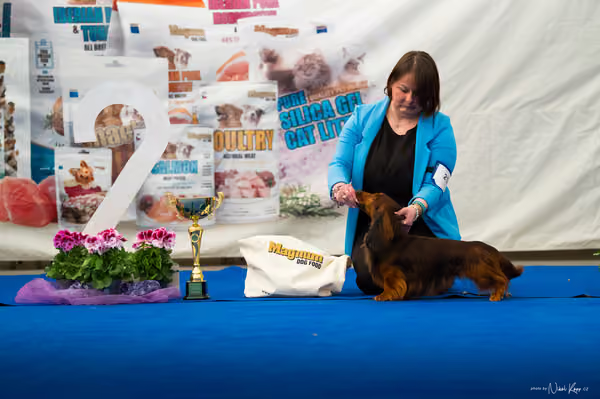 For Pets Cup – DOSPĚLÝ