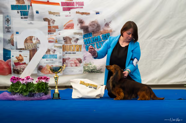 For Pets Cup – DOSPĚLÝ