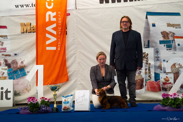 For Pets Cup – DOSPĚLÝ