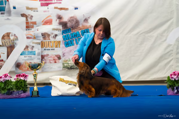 For Pets Cup – DOSPĚLÝ