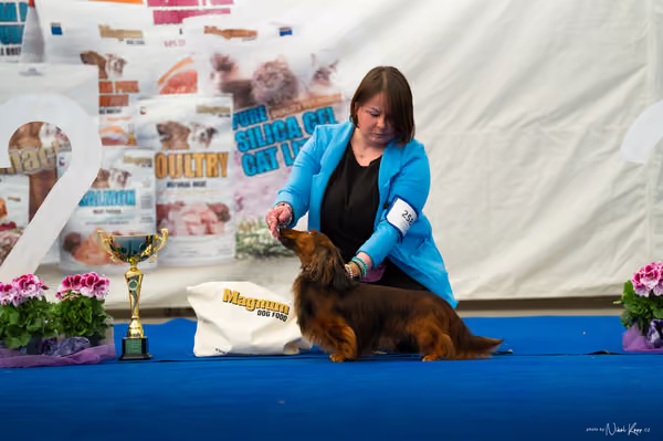 For Pets Cup – DOSPĚLÝ