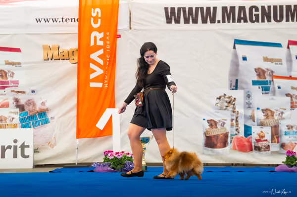 For Pets Cup – DOSPĚLÝ