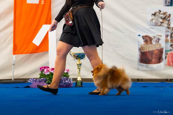 For Pets Cup – DOSPĚLÝ