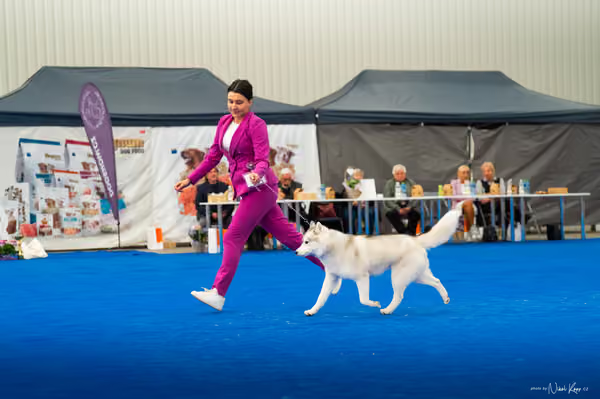 For Pets Cup – DOSPĚLÝ