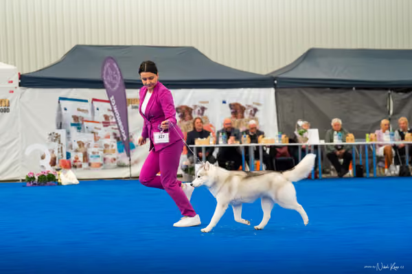 For Pets Cup – DOSPĚLÝ
