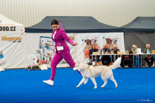 For Pets Cup – DOSPĚLÝ