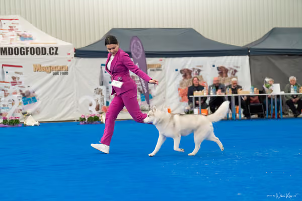 For Pets Cup – DOSPĚLÝ