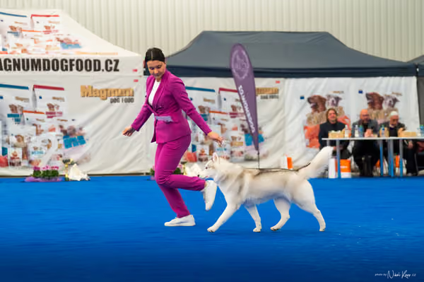 For Pets Cup – DOSPĚLÝ