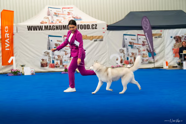 For Pets Cup – DOSPĚLÝ