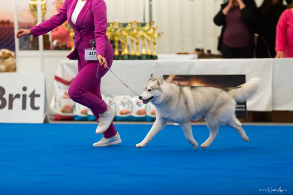 For Pets Cup – DOSPĚLÝ