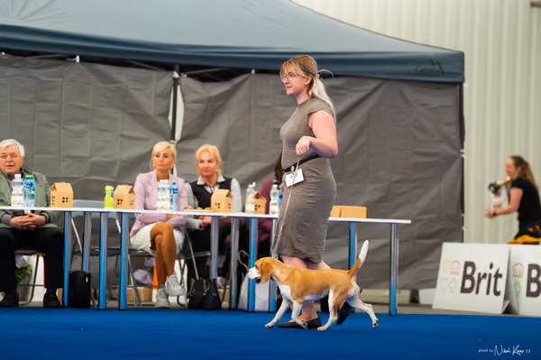 For Pets Cup – DOSPĚLÝ