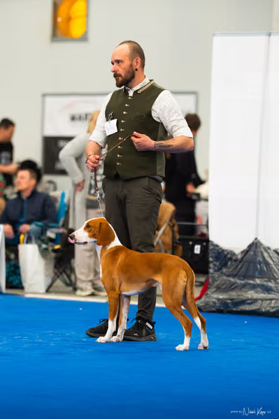 For Pets Cup – DOSPĚLÝ