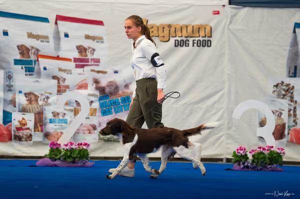 For Pets Cup – DOSPĚLÝ