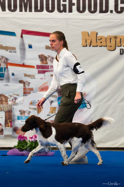 For Pets Cup – DOSPĚLÝ