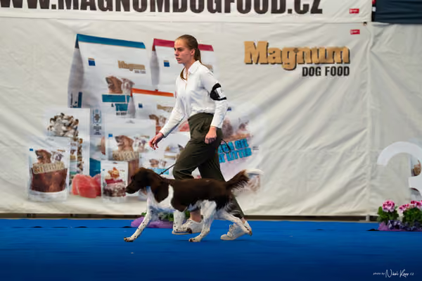 For Pets Cup – DOSPĚLÝ