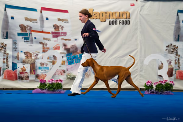 For Pets Cup – DOSPĚLÝ