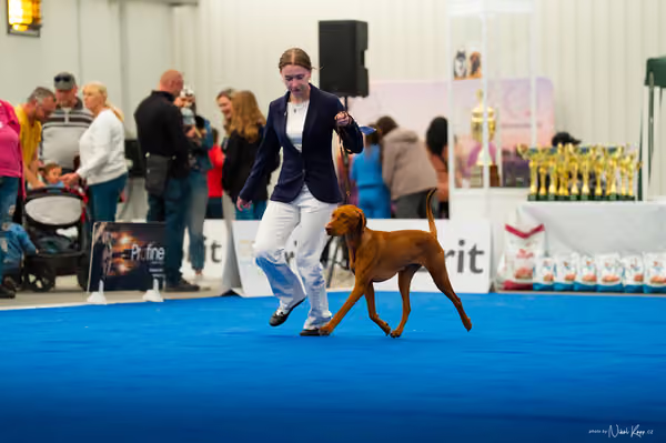 For Pets Cup – DOSPĚLÝ