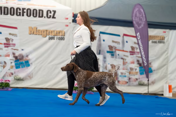 For Pets Cup – DOSPĚLÝ