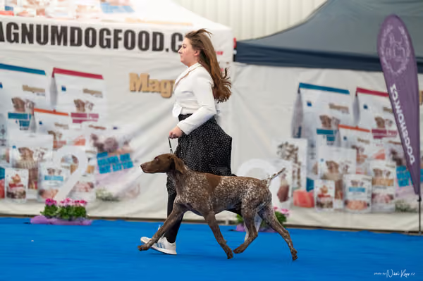 For Pets Cup – DOSPĚLÝ