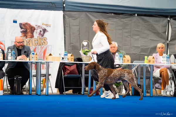For Pets Cup – DOSPĚLÝ