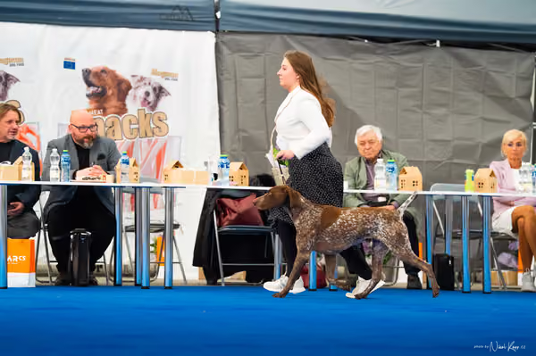 For Pets Cup – DOSPĚLÝ