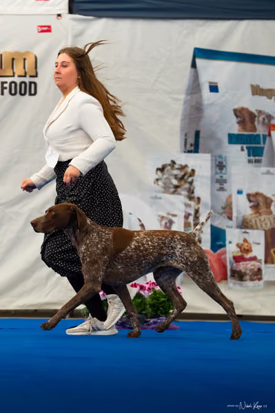 For Pets Cup – DOSPĚLÝ