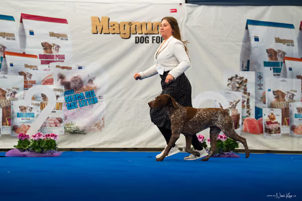 For Pets Cup – DOSPĚLÝ