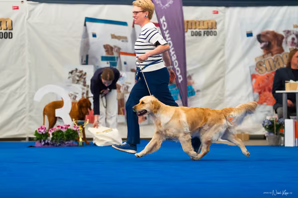 For Pets Cup – DOSPĚLÝ