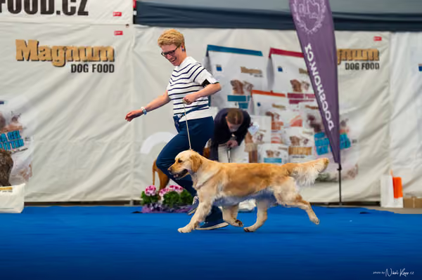 For Pets Cup – DOSPĚLÝ