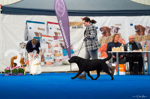 For Pets Cup – DOSPĚLÝ