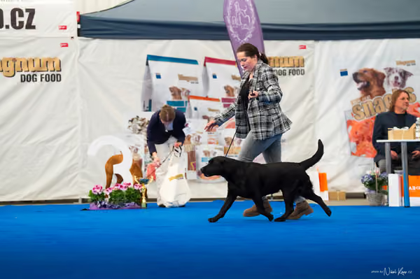For Pets Cup – DOSPĚLÝ