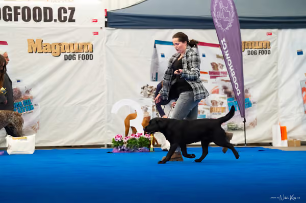 For Pets Cup – DOSPĚLÝ