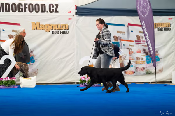For Pets Cup – DOSPĚLÝ