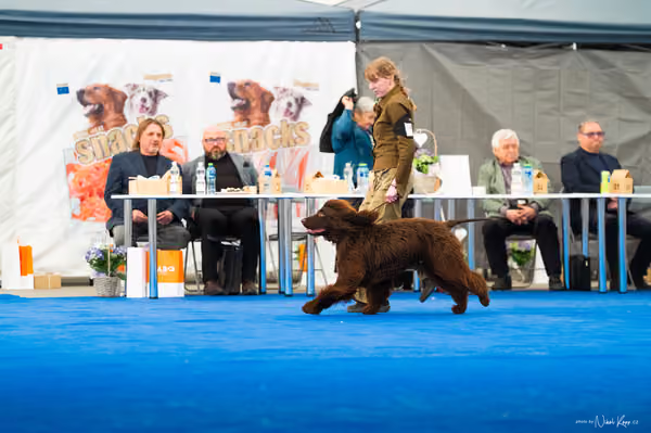 For Pets Cup – DOSPĚLÝ