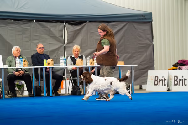 For Pets Cup – DOSPĚLÝ