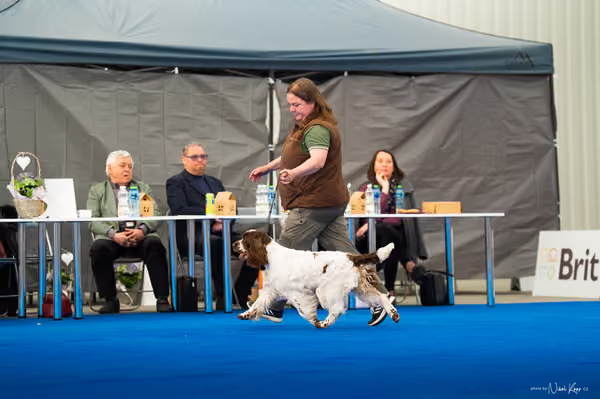 For Pets Cup – DOSPĚLÝ