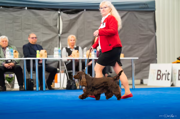 For Pets Cup – DOSPĚLÝ