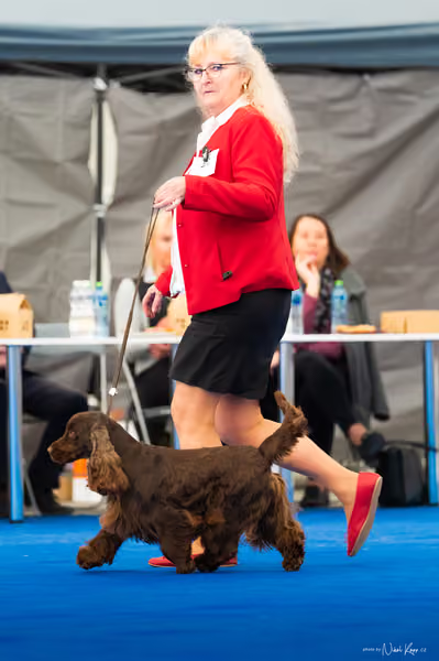 For Pets Cup – DOSPĚLÝ