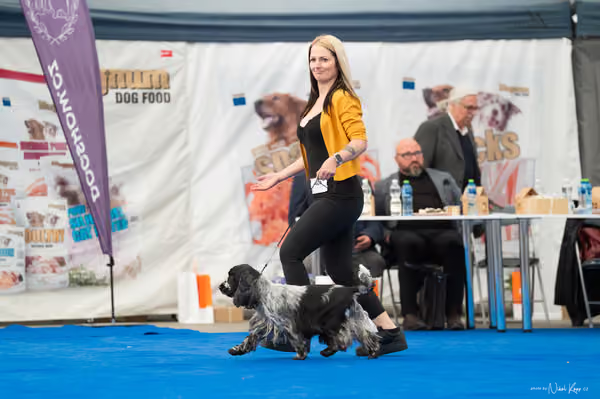 For Pets Cup – DOSPĚLÝ