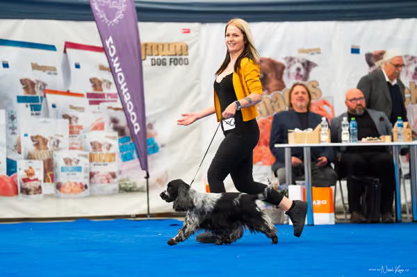 For Pets Cup – DOSPĚLÝ